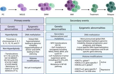 Aberrant DNA methylation in multiple myeloma: A major obstacle or an opportunity?